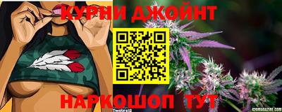 ALPHA PVP Моздок