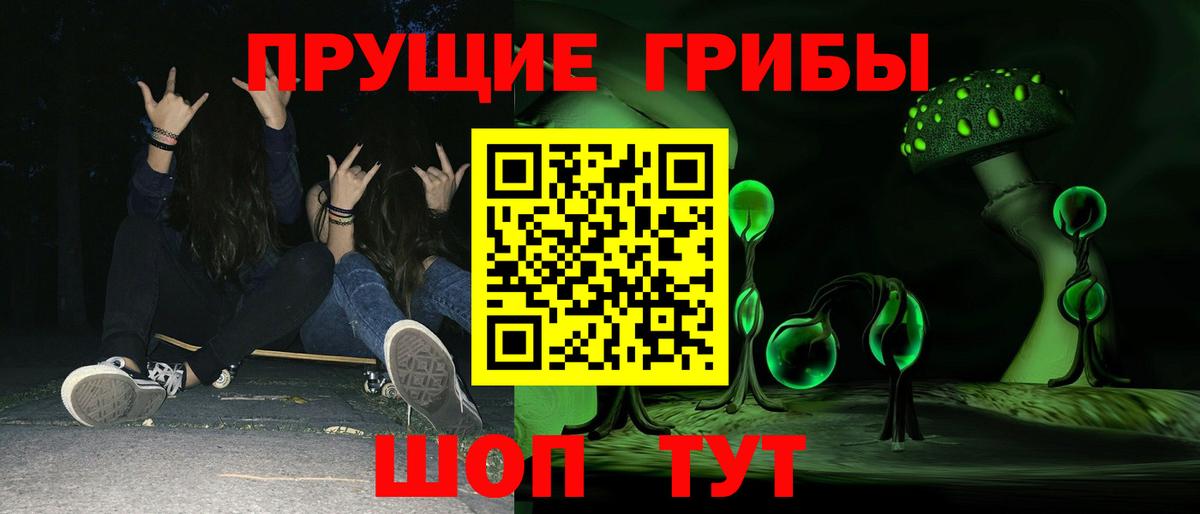 Усть-Джегута  как найти наркотики  Вход с VPN  Псилоцибиновые грибы GOLDEN TEACHER 