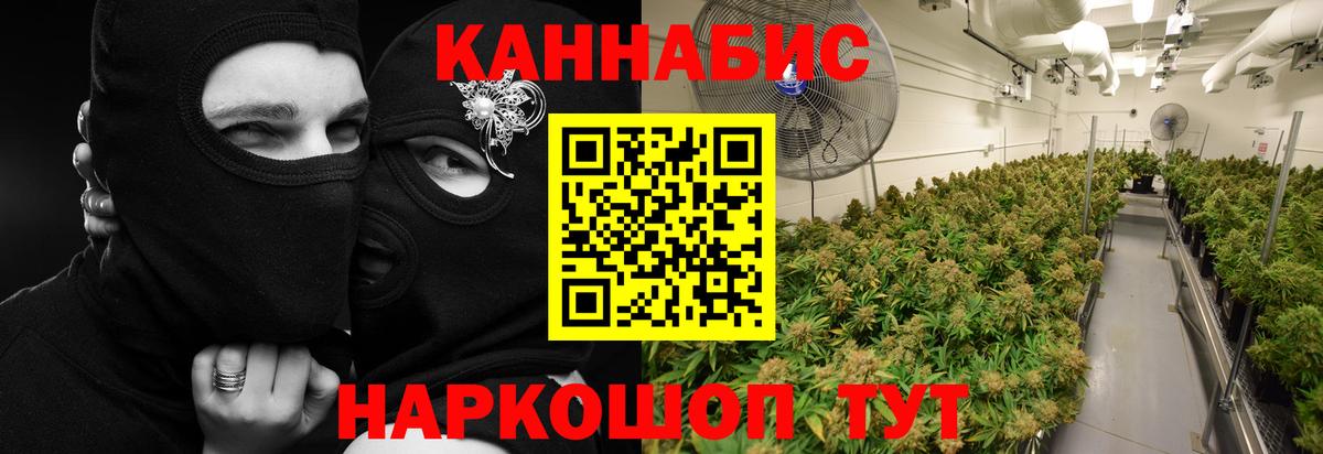 Шишки марихуана гибрид Усть-Джегута